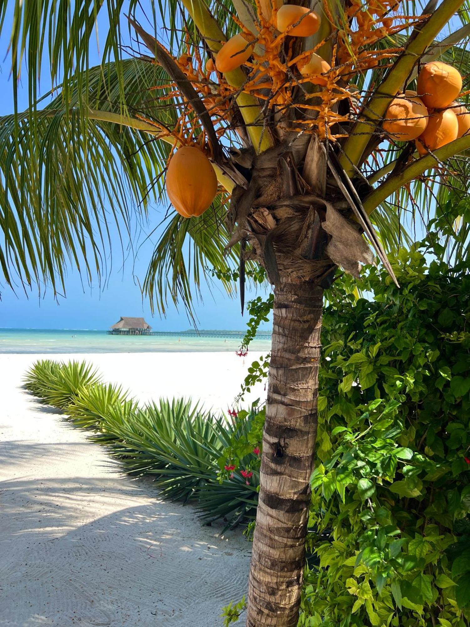 Karibu Beach Resort Pongwe Exterior photo